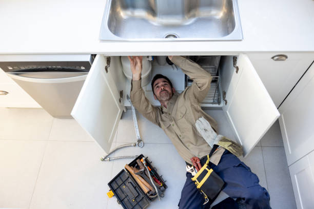 Best Local Plumber Services  in Laguna Park, TX