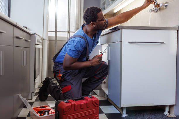 Best Residential Plumbing Services  in Laguna Park, TX